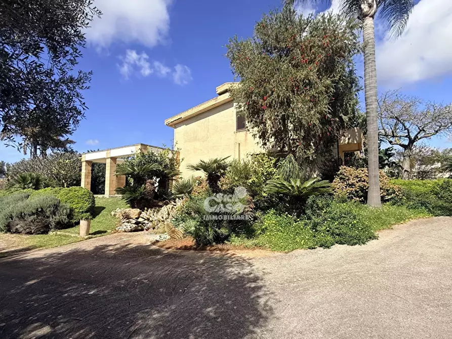 Immagine 42 di Terreno edificabile in vendita  a Marsala