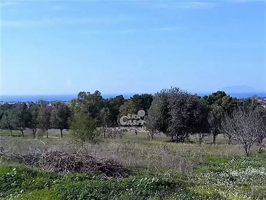 Immagine 3 di Terreno in vendita  a Marsala