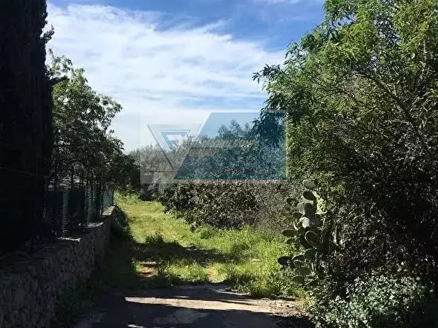 Immagine 6 di Terreno in vendita  a Siracusa