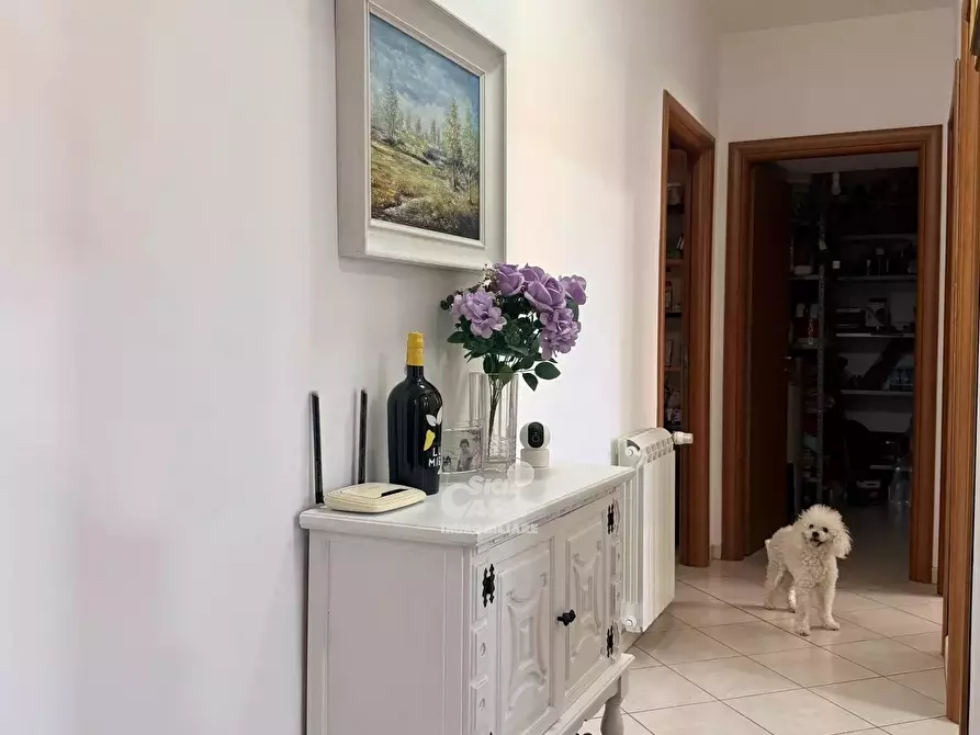 Immagine 14 di Casa trifamiliare in vendita  a Marsala