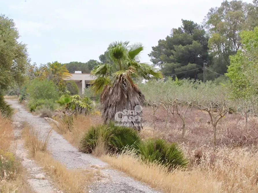 Immagine 4 di Terreno edificabile in vendita  a Marsala
