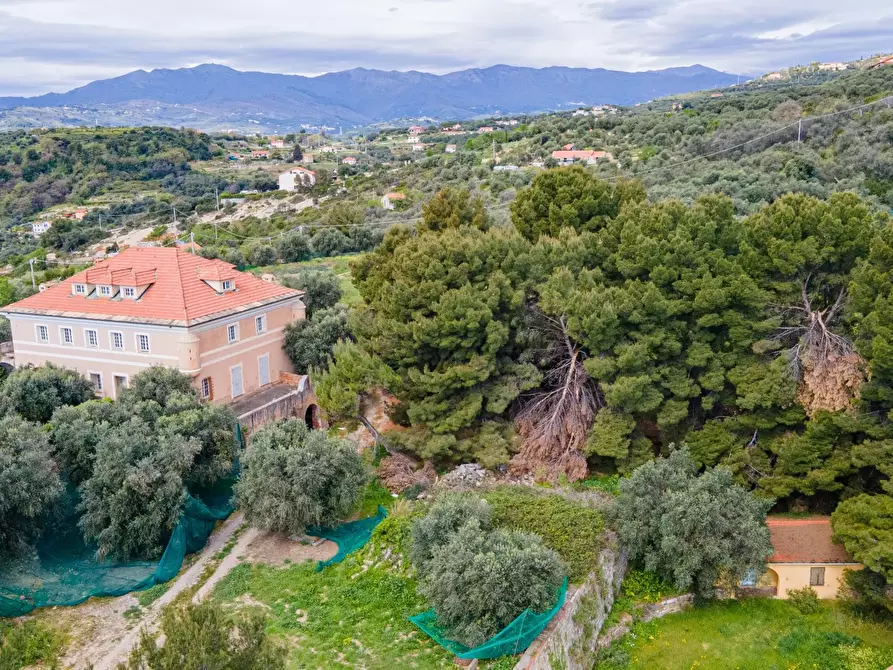 Immagine 11 di Terreno edificabile in vendita  a Imperia