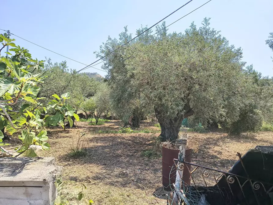 Immagine 3 di Terreno edificabile in vendita  a Messina