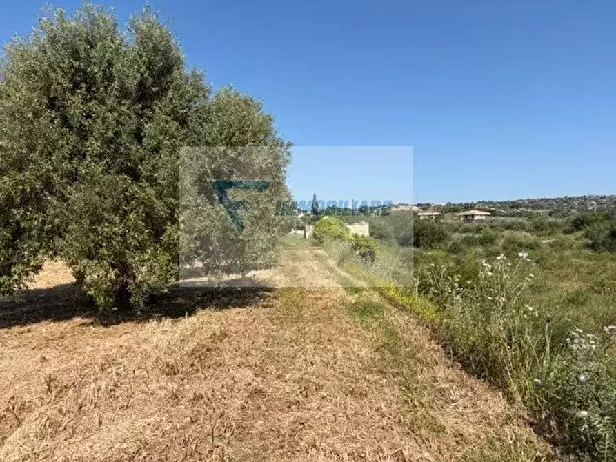 Immagine 7 di Terreno in vendita  in Strada Tremmilia a Siracusa