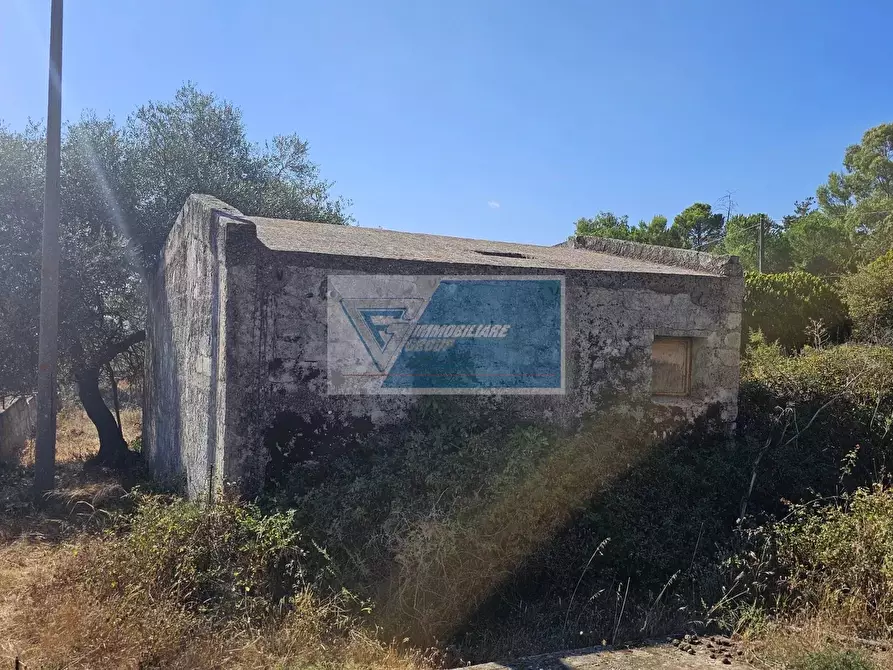 Immagine 6 di Terreno in vendita  a Avola