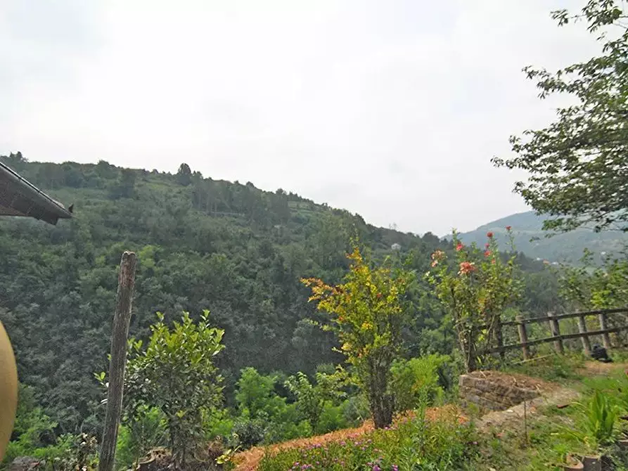 Immagine 6 di Terreno edificabile in vendita  a Bergolo