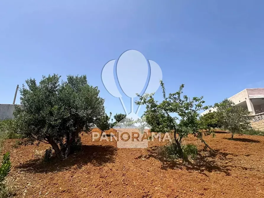 Immagine 17 di Terreno in vendita  in Contrada Vallone del Lupo a Alcamo