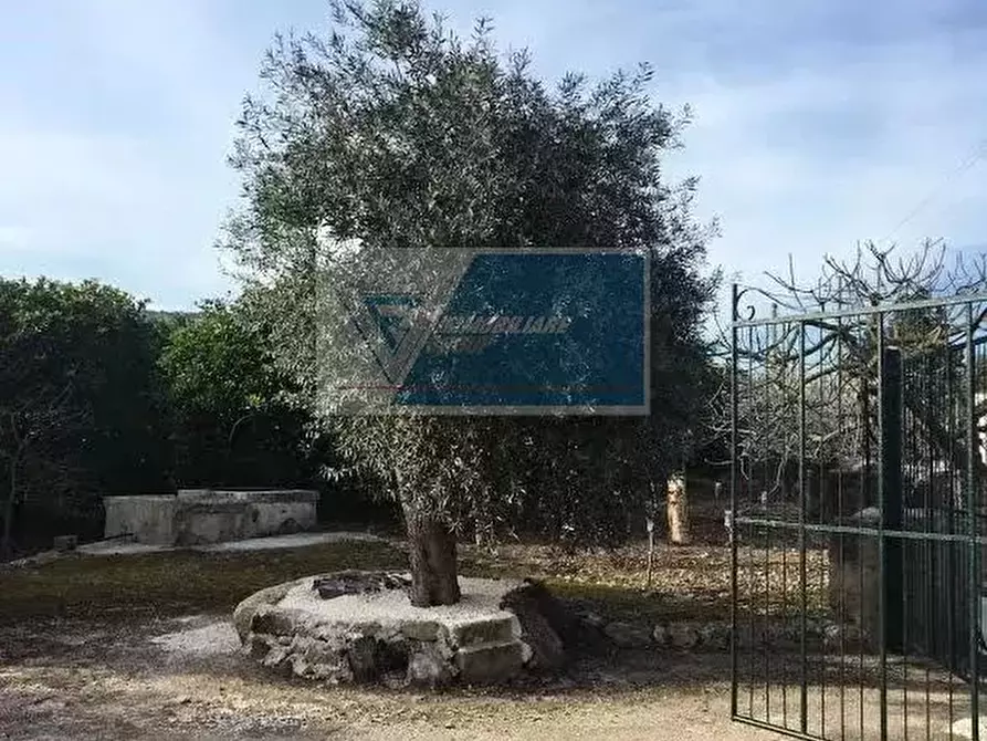 Immagine 5 di Terreno in vendita  a Siracusa