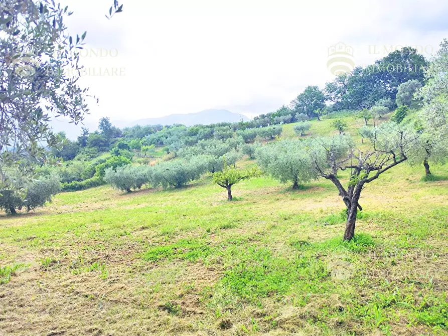 Immagine 22 di Casa bifamiliare in vendita  in Strada di Colle Fagiano a Palombara Sabina