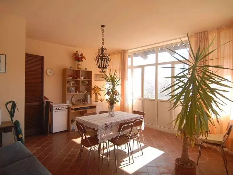 Immagine 7 di Terreno edificabile in vendita  a Dogliani