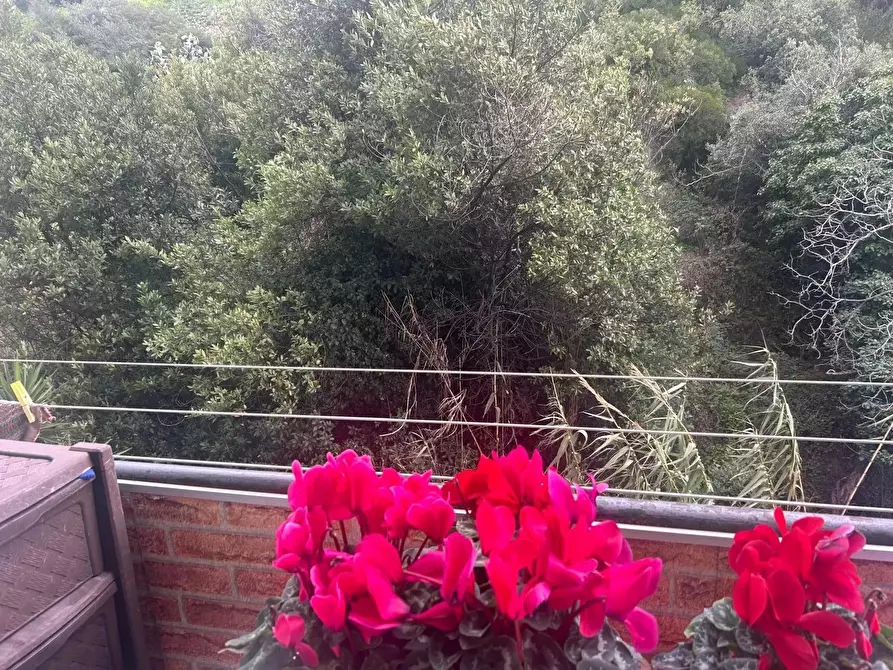 Immagine 3 di Casa trifamiliare in vendita  in Via Tenda, 44 a Ventimiglia