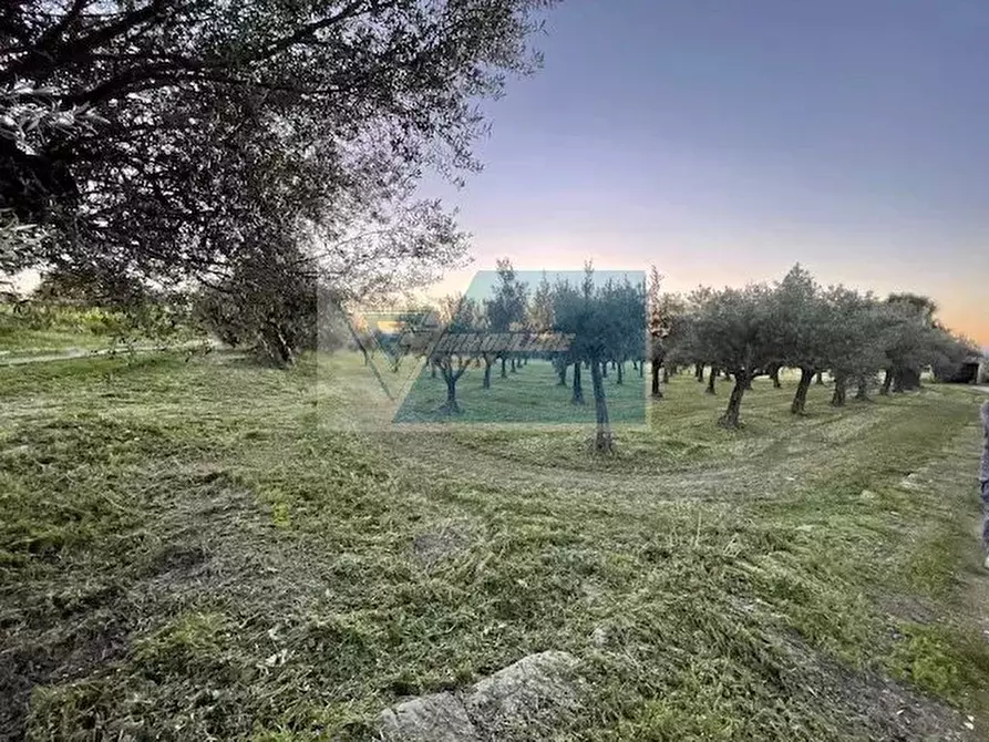 Immagine 6 di Terreno in vendita  in C.da  Carancino a Siracusa