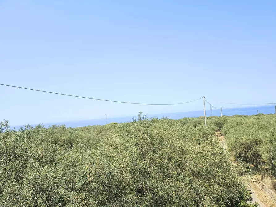 Immagine 2 di Terreno edificabile in vendita  a Messina