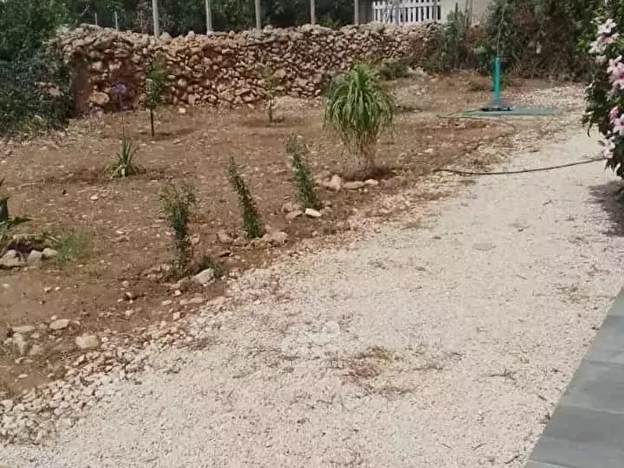 Immagine 6 di Casa trifamiliare in affitto  a Marsala