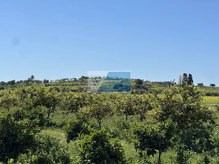 Immagine 14 di Terreno in vendita  a Noto