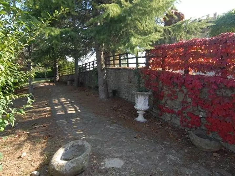 Immagine 14 di Terreno edificabile in vendita  a Dogliani