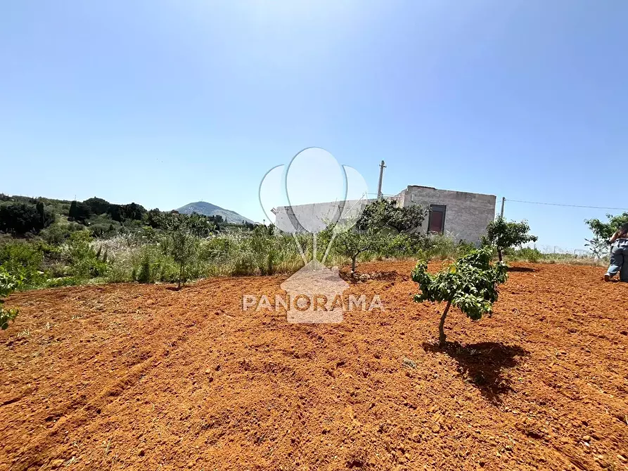 Immagine 12 di Terreno in vendita  in Contrada Vallone del Lupo a Alcamo