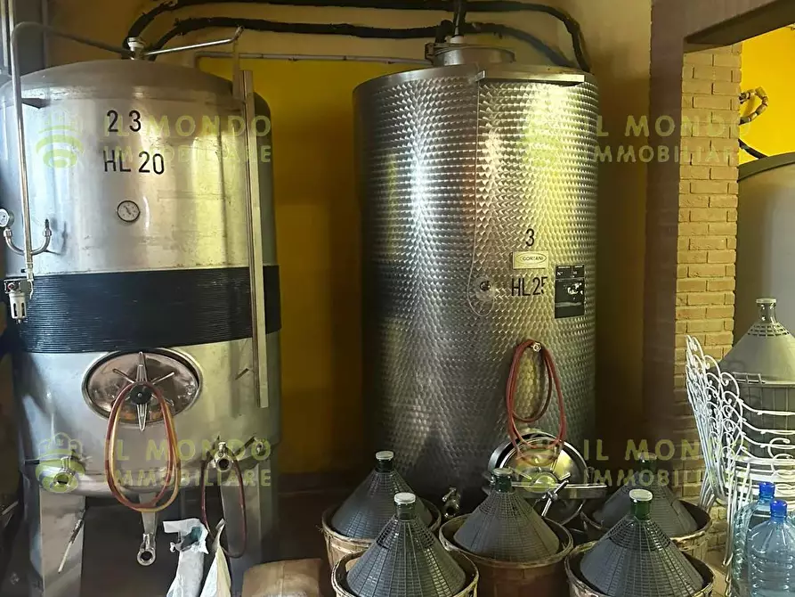 Immagine 14 di Terreno edificabile in vendita  in Località Lago, 15 a Albaredo Arnaboldi