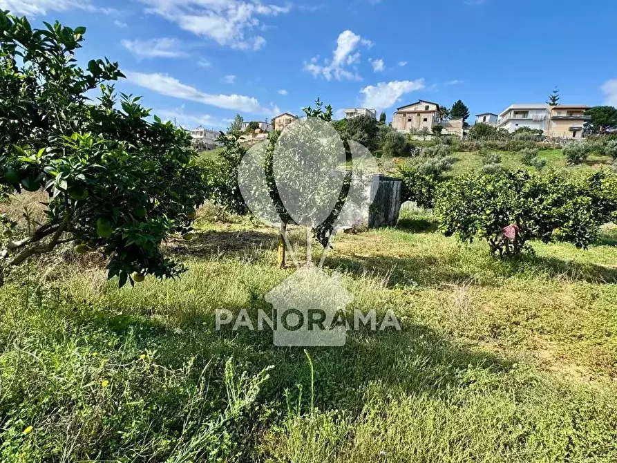 Immagine 21 di Terreno in vendita  in Contrada Timpi Rossi a Alcamo