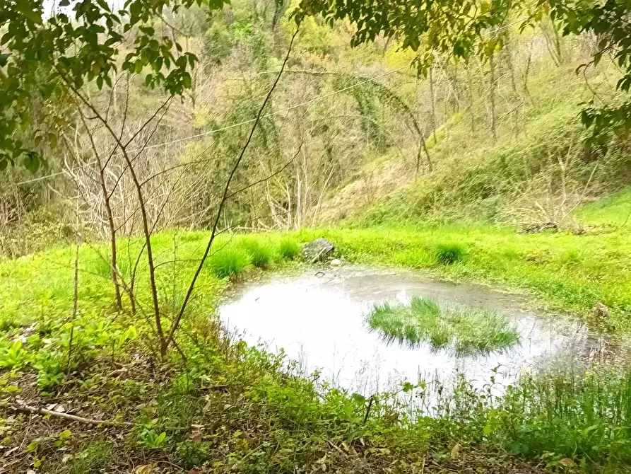 Immagine 35 di Terreno edificabile in vendita  a Refrontolo