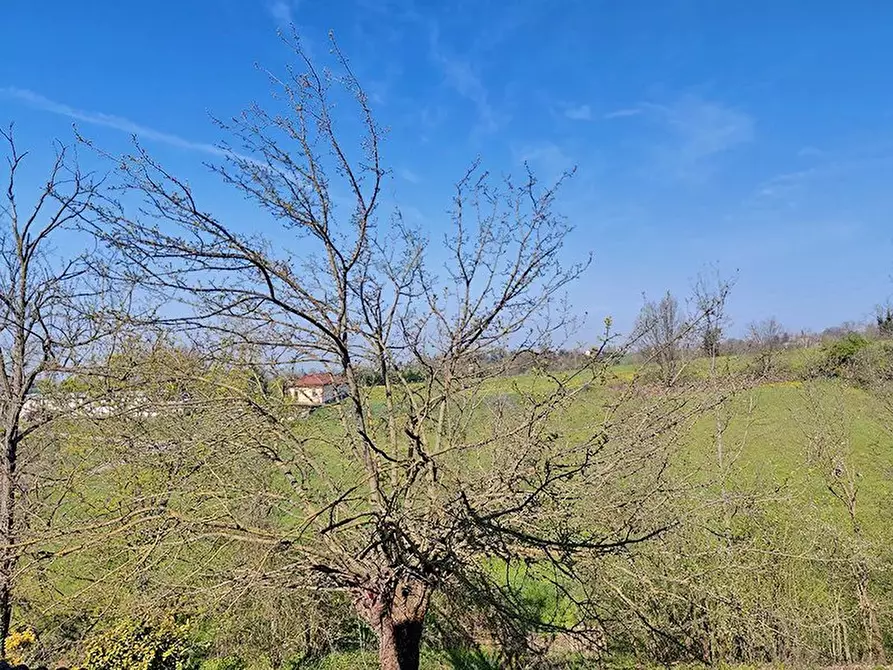 Immagine 30 di Terreno edificabile in vendita  a Alessandria