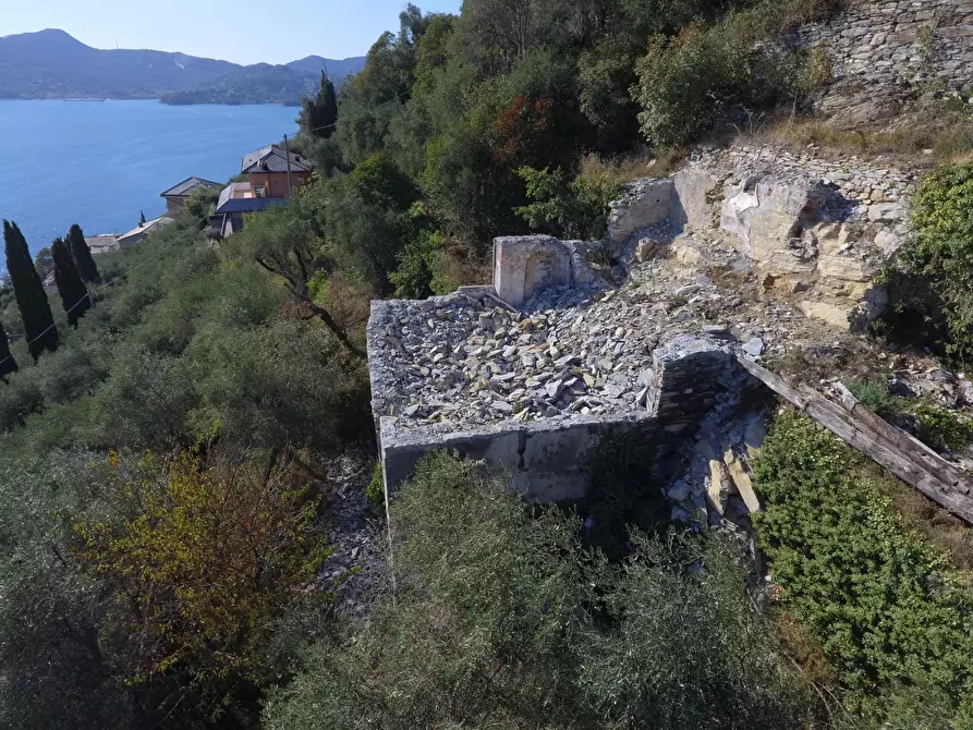Immagine 19 di Terreno edificabile in vendita  in San Pietro de Rovereto a Avegno