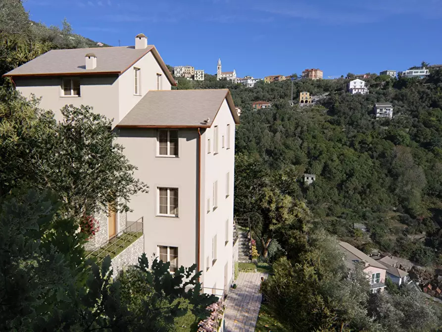 Immagine 12 di Terreno edificabile in vendita  in San Pietro de Rovereto a Avegno