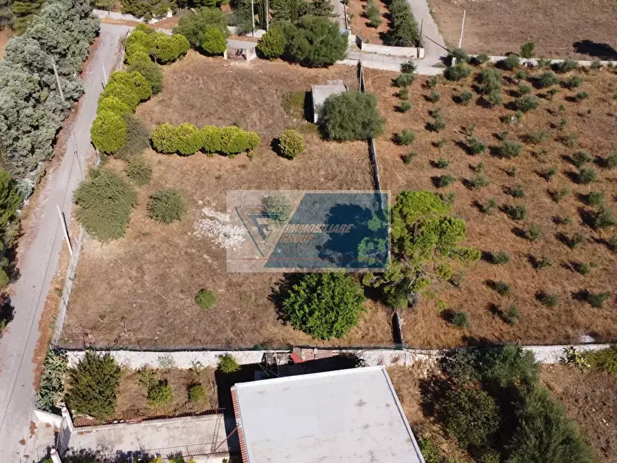 Immagine 15 di Terreno in vendita  a Avola