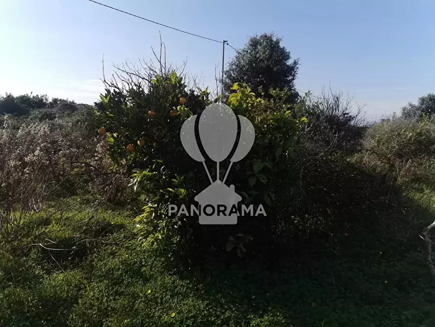 Immagine 7 di Terreno in vendita  in Contrada San Cataldo a Capaci