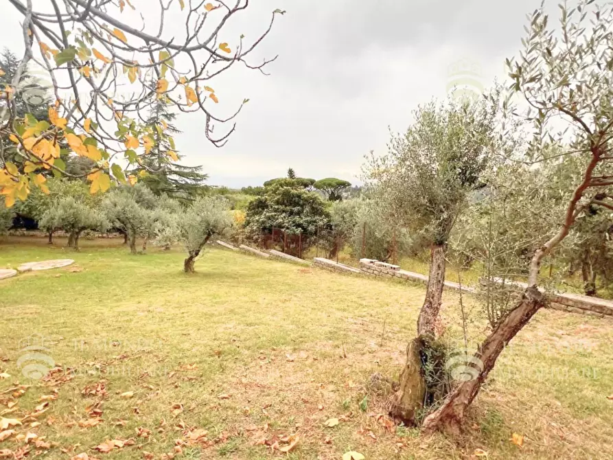 Immagine 42 di Casa trifamiliare in vendita  a Palombara Sabina