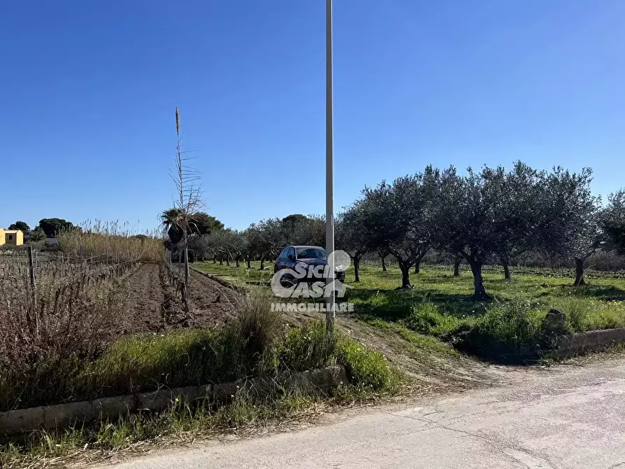 Immagine 28 di Terreno in vendita  a Marsala