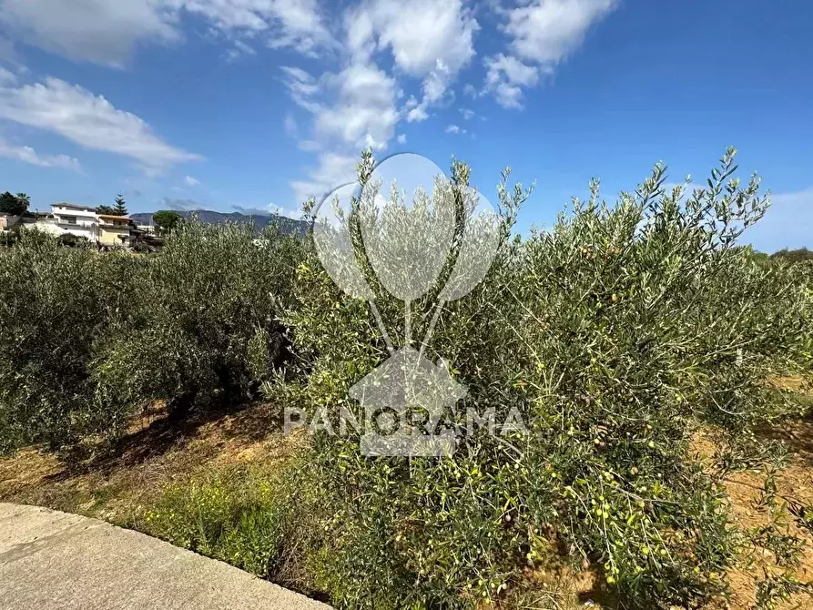 Immagine 26 di Terreno in vendita  in Contrada Timpi Rossi a Alcamo
