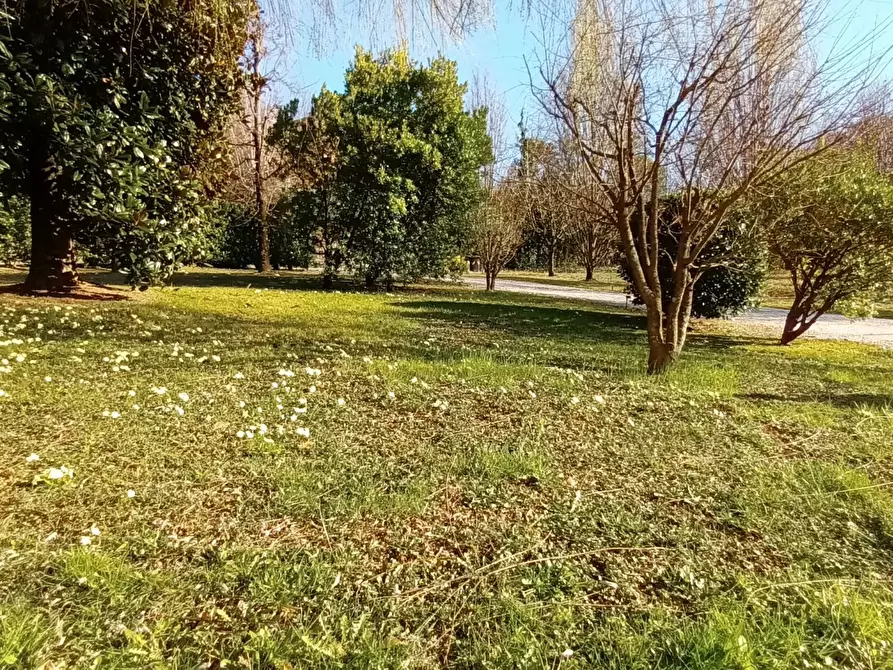 Immagine 44 di Terreno edificabile in vendita  a Refrontolo