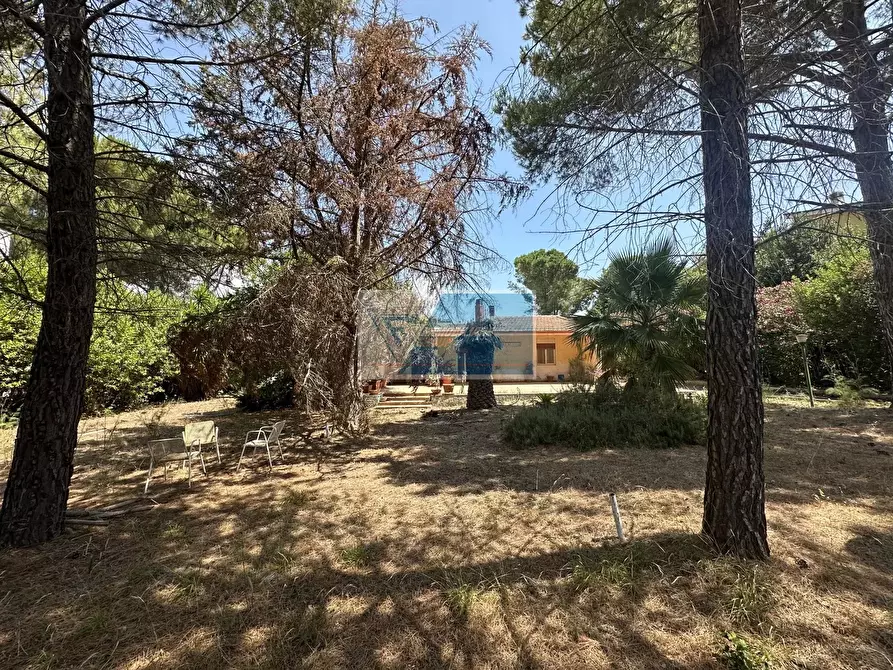 Immagine 4 di Terreno edificabile in vendita  in Via Corrado Montoneri San Corrado di Fuori a Noto
