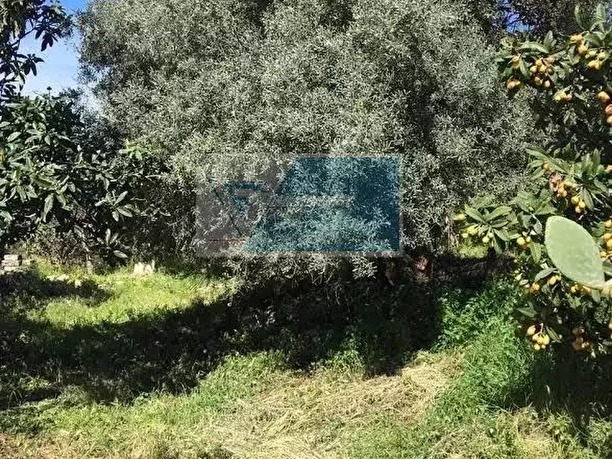 Immagine 3 di Terreno in vendita  a Siracusa