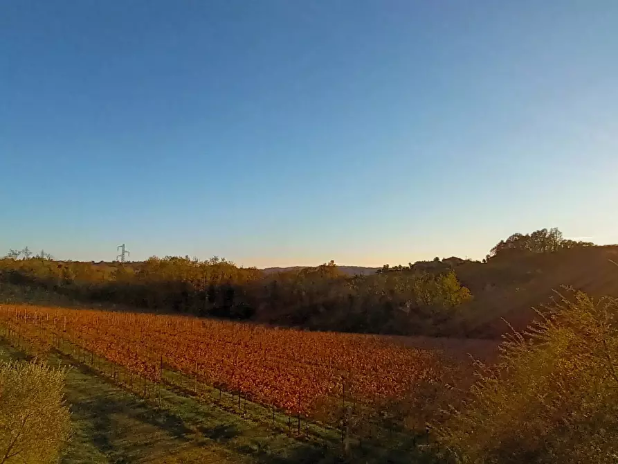 Immagine 79 di Terreno edificabile in vendita  a Refrontolo