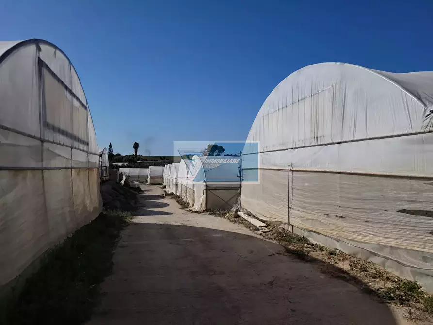 Immagine 8 di Attico in vendita  in CONTRADA GRANELLI a Pachino