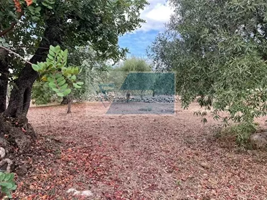 Immagine 8 di Terreno in vendita  in Contrada Trigona a Buccheri