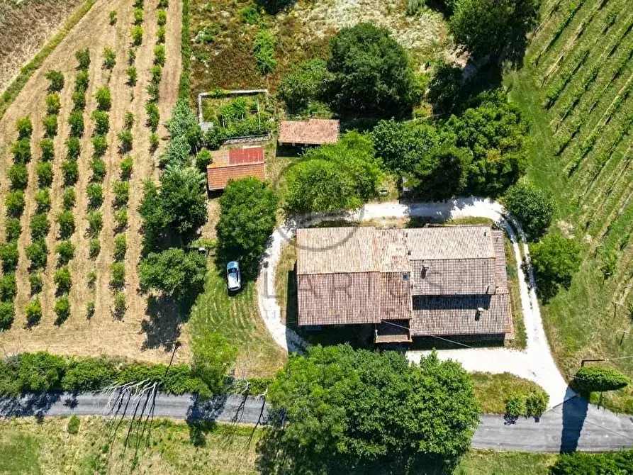 Immagine 13 di Terreno edificabile in vendita  in Serra San Quirico a Serra San Quirico