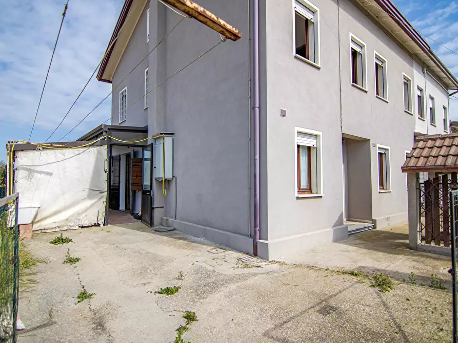 Immagine 6 di Terreno edificabile in vendita  a Campagna Lupia