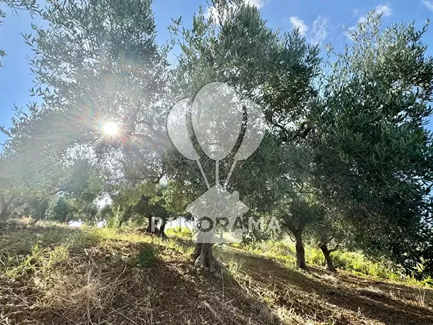 Immagine 24 di Terreno edificabile in vendita  in Contrada Casale a Alcamo