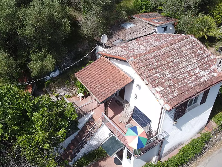 Immagine 30 di Terreno edificabile in vendita  a Apricale