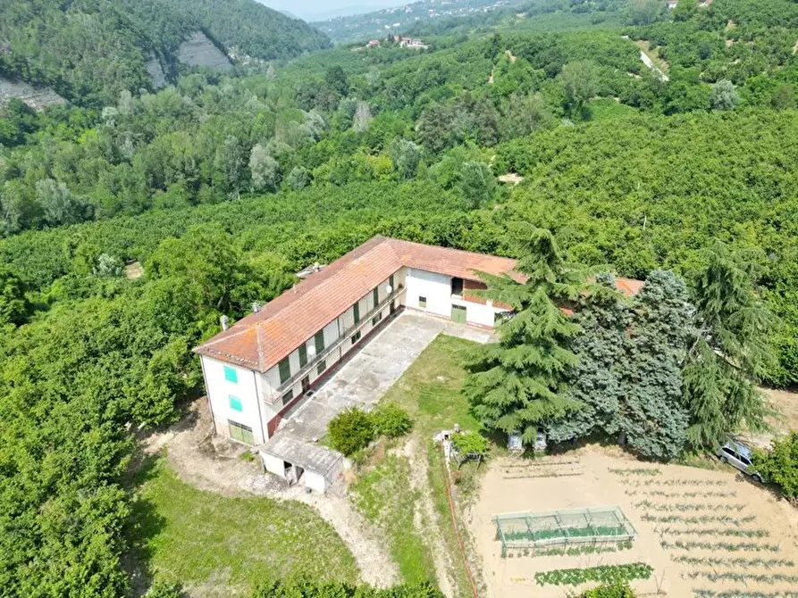 Immagine 6 di Terreno edificabile in vendita  a Albaretto Della Torre
