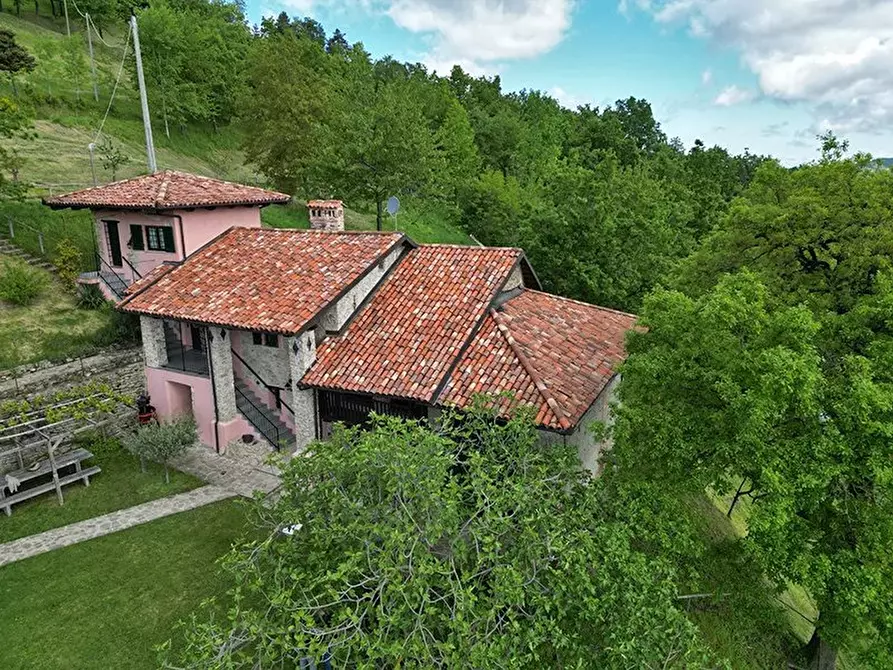 Immagine 8 di Terreno edificabile in vendita  a Barolo