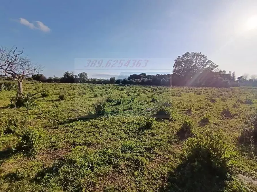 Immagine 5 di Terreno in vendita  in Traversa Masseria Gargallo a Siracusa