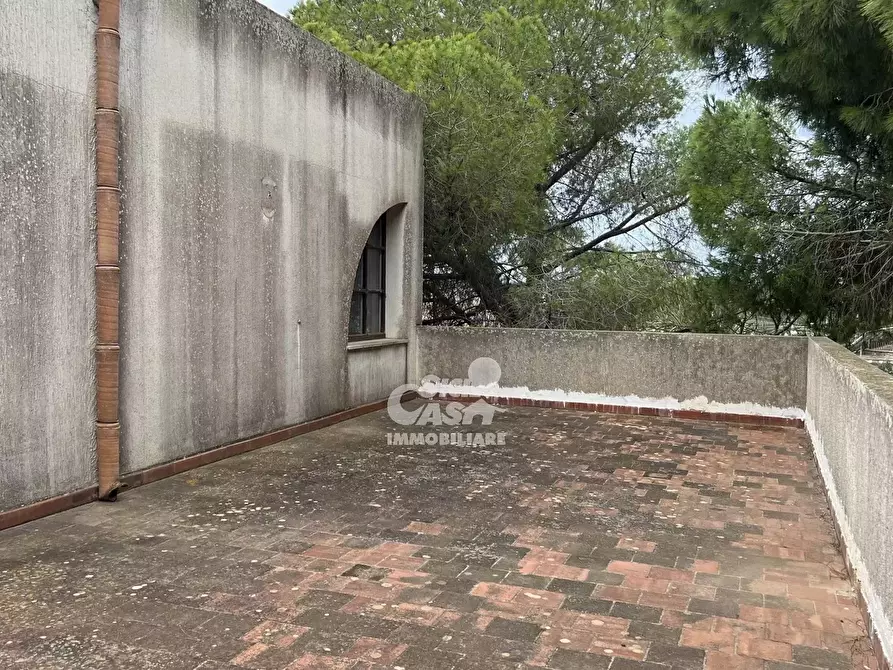 Immagine 38 di Terreno edificabile in vendita  a Marsala