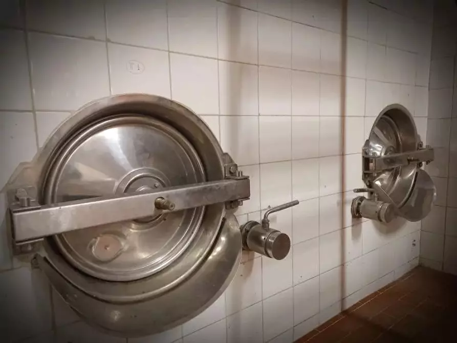 Immagine 25 di Attico in vendita  a Pontestura