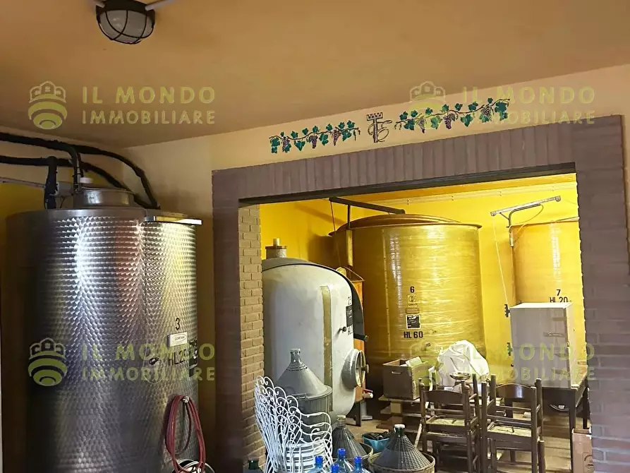 Immagine 17 di Terreno edificabile in vendita  in Località Lago, 15 a Albaredo Arnaboldi