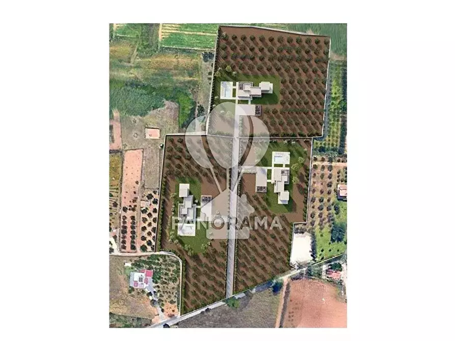 Immagine 20 di Terreno edificabile in vendita  in B&B falconeria a Partinico