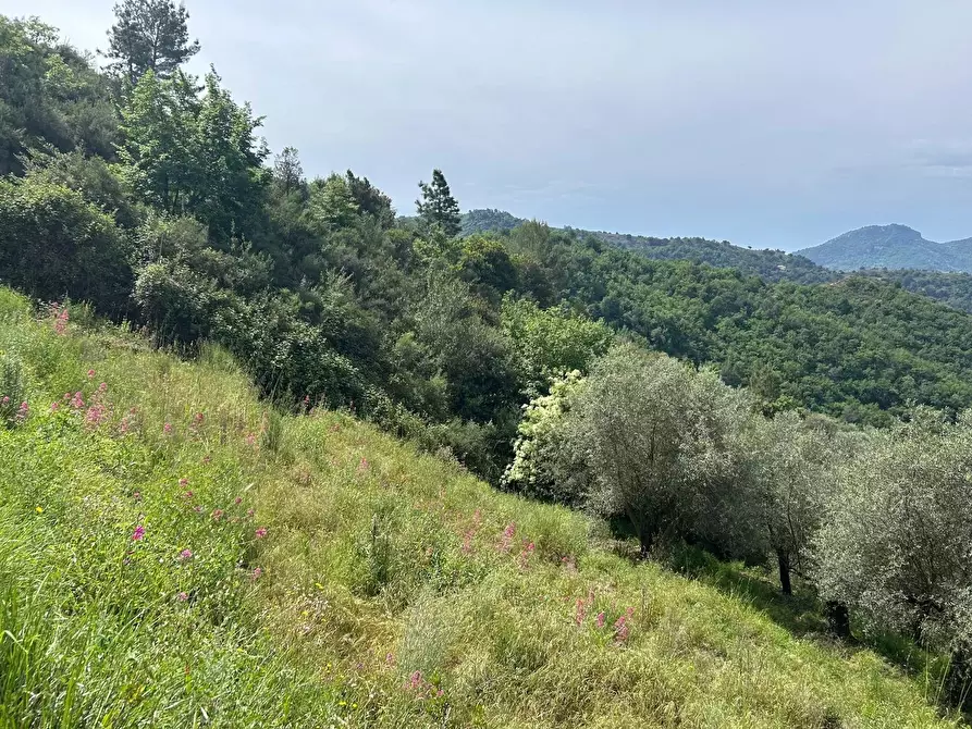 Immagine 11 di Terreno edificabile in vendita  in Frazione Verrandi, 9 a Ventimiglia